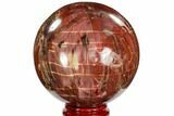 Colorful Petrified Wood Sphere - Madagascar #106993-1